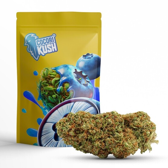 BLUEBERRY MUFFIN CBD - CocoriKush - WeWeed