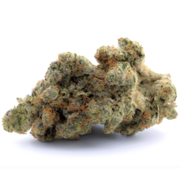 SUPER SILVER HAZE - Stormrock - WeWeed