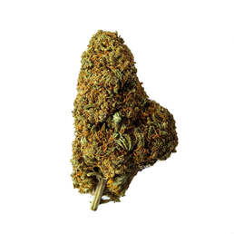 Cogollo de Flor Aromática de CBD con 15,88% · La Cordobesa Helada Nueva Cosecha - ProfesorCBD - WeWeed