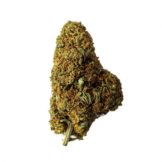 Cogollo de Flor Aromática de CBD con 15,88% · La Cordobesa Helada Nueva Cosecha - ProfesorCBD - WeWeed