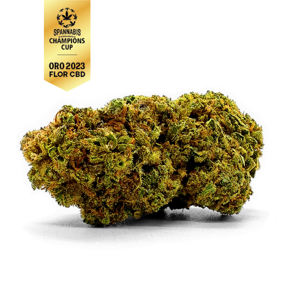 REINA CATALANA CBD - La Catalana CBD - WeWeed