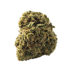 Cogollo de Flor Aromática de CBD Indoor al 22,20% · La Cordobesa Amnesia Haze · - ProfesorCBD - WeWeed