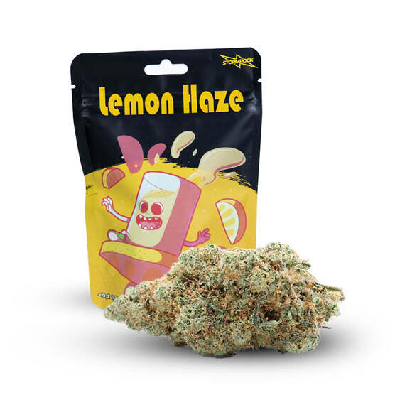 LEMON HAZE - Stormrock - WeWeed
