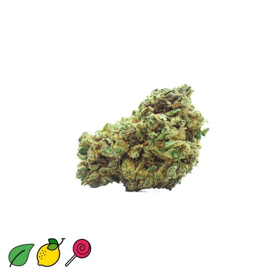 HINDU KUSH CBD INDOOR - CocoriKush - WeWeed