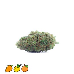 BIG BUDDHA CHEESE CBD INDOOR - CocoriKush - WeWeed