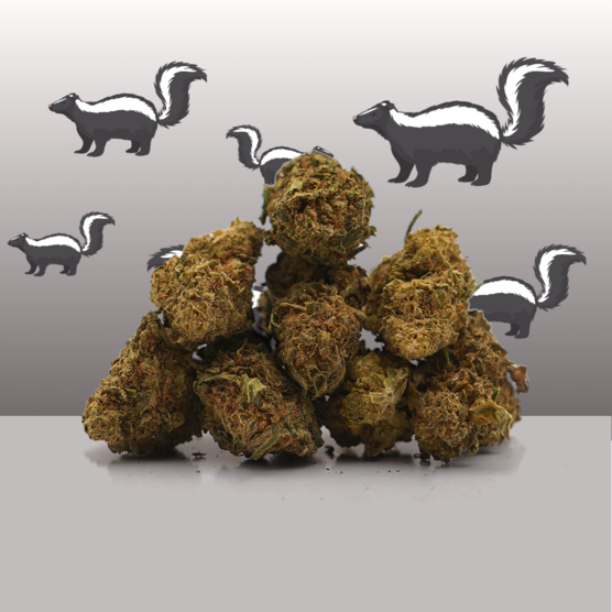 Super Skunk CBD Small Buds 🦨 - Mama Kana - WeWeed