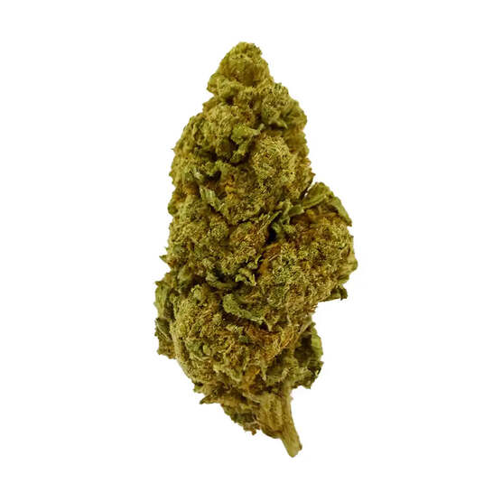 Cogollo de Flor Aromática de CBD al 9,80% · La Cordobesa Colchonera - ProfesorCBD - WeWeed