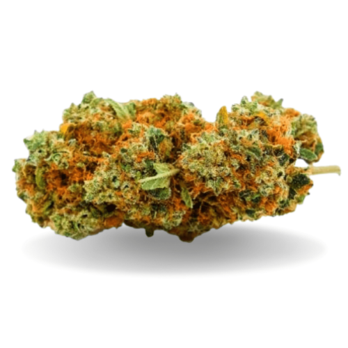 GELATO - Stormrock - WeWeed