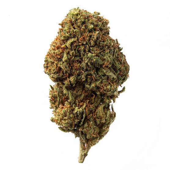 Cogollo de Flor Aromática de CBD al 16,30% · La Cordobesa Vikinga - ProfesorCBD - WeWeed