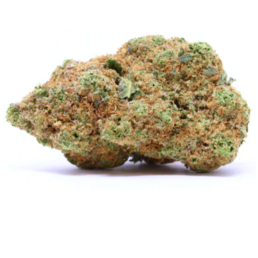 AMNESIA - Stormrock - WeWeed