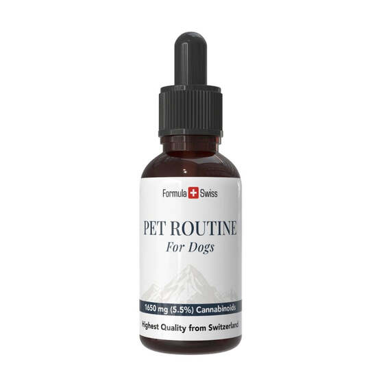 Pet Routine para perros – aceite de CBD 5 % CBD - Formula Swiss - WeWeed