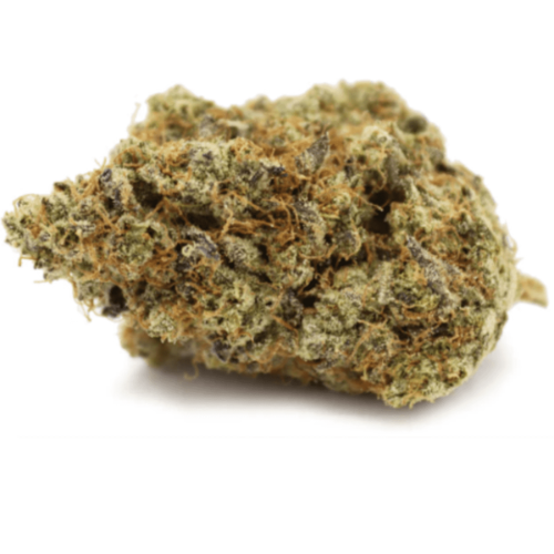 SUPER SKUNK - Stormrock - WeWeed
