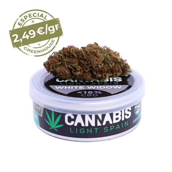 WHITE WIDOW GREENHOUSE - Cannabis Light Spain - WeWeed