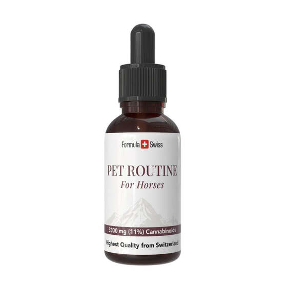 Pet Routine para caballos – aceite de CBD 10 % CBD - Formula Swiss - WeWeed