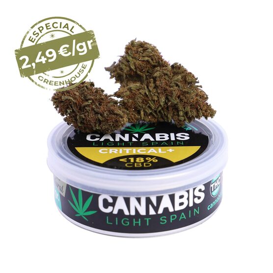 CRITICAL + GREENHOUSE - Cannabis Light Spain - WeWeed