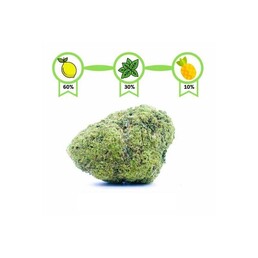 GREEN CRACK CBD INDOOR - CocoriKush - WeWeed