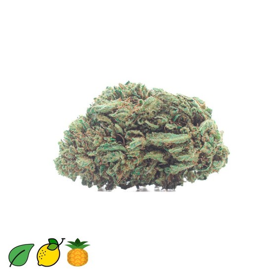 JACK HERER CBD INDOOR - CocoriKush - WeWeed