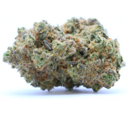 GORILLA GLUE - Stormrock - WeWeed