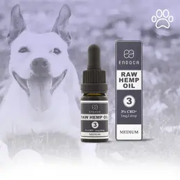 RAW CBD Oil 30mg (Pets, Medium) - Endoca - WeWeed