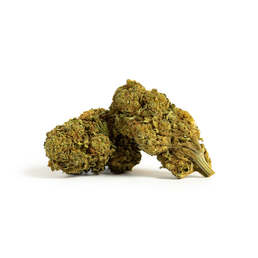 Amnesia invernadero CBD (10g-500g) - IberoHemp - WeWeed