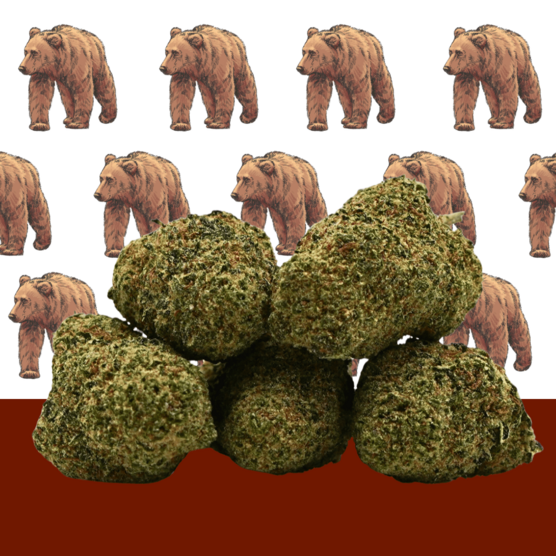 L.A Cali CBD 🐻 [Hidroponía] - Mama Kana - WeWeed
