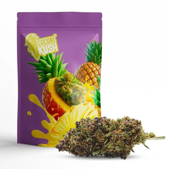 PURPLE PUNCH COCORIKUSH CBD - CocoriKush - WeWeed