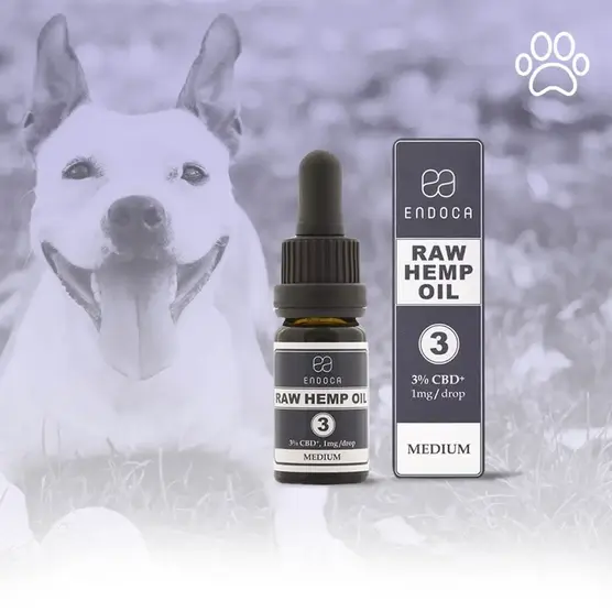 RAW CBD Oil 30mg (Pets, Medium) - Endoca - WeWeed