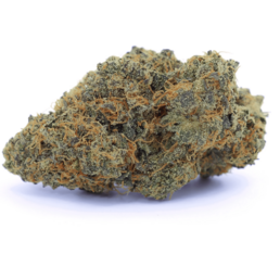 ORANGELLO KUSH - Stormrock - WeWeed
