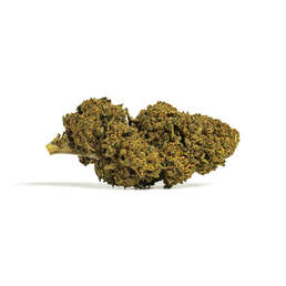Limoncello CBD - IberoHemp - WeWeed