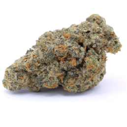 MASTER KUSH - Stormrock - WeWeed