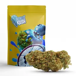BLUEBERRY MUFFIN COCORIKUSH CBD - CocoriKush - WeWeed