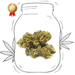 Super Skunk - Sweed - WeWeed
