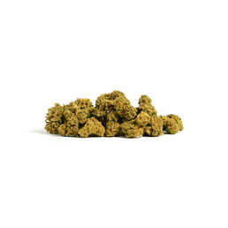 Pop Amnesia Haze - IberoHemp - WeWeed