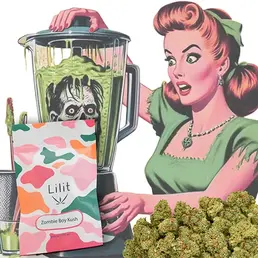 Zombie Boy Kush - Lilit - WeWeed