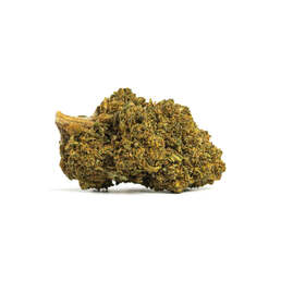 Gorilla Glue CBD - IberoHemp - WeWeed