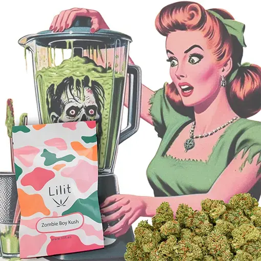 Zombie Boy Kush - Lilit - WeWeed