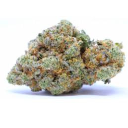 BLUBERRY DIESEL - Stormrock - WeWeed