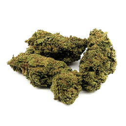 Cheese Skunk CBD - IberoHemp - WeWeed