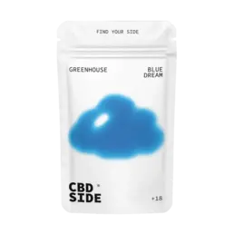 Blue Dream – Flores CBD Greenhouse - The CBD Side - WeWeed
