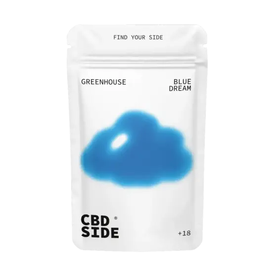 Blue Dream – Flores CBD Greenhouse - The CBD Side - WeWeed