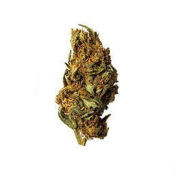 Cogollo de Flor Aromática de CBD al 16,49% · La Cordobesa Tradicional - ProfesorCBD - WeWeed