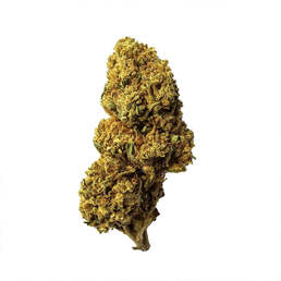 Cogollo de Flor Aromática de CBD al 15,17% · La Cordobesa Atleta - ProfesorCBD - WeWeed