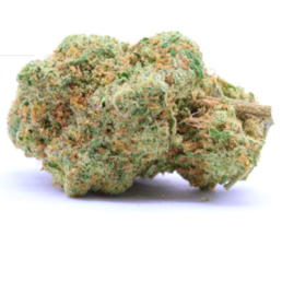 CRITICAL 2.0 + - Stormrock - WeWeed