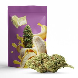 BANANA KUSH CBD Indoor - CocoriKush - WeWeed