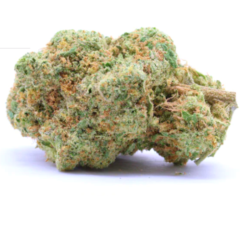 CRITICAL 2.0 + - Stormrock - WeWeed