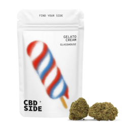 Gelato Cream – Flores CBD Glasshouse - The CBD Side - WeWeed