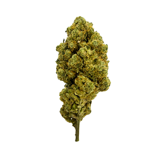 Enectaliana - Flower Farm - WeWeed
