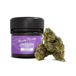 GRANDADDY KUSH CBD FLOR MELLOW FELLOW (3,5G) - Mellow Fellow - WeWeed