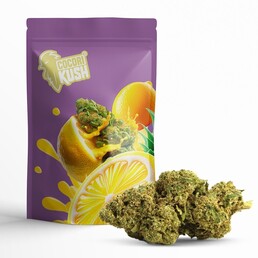 AMNESIA CBD INDOOR - CocoriKush - WeWeed