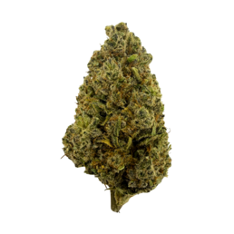 Northern Lights - Flower Farm - WeWeed